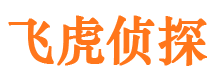 平顺市侦探公司